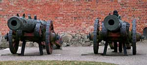 Kanonerna Galten och Suggan utanför Gripsholms slott